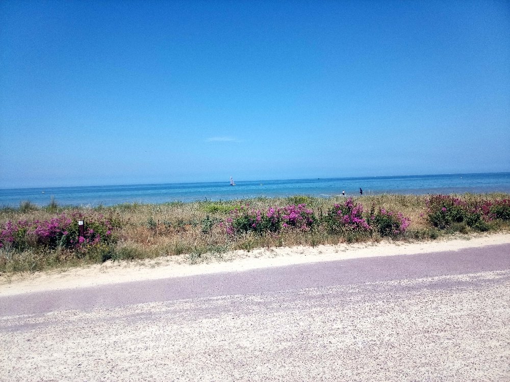 Aire camping-car  Bernires-sur-Mer (14990) - Photo 7